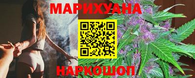 мяу мяу мука Аргун