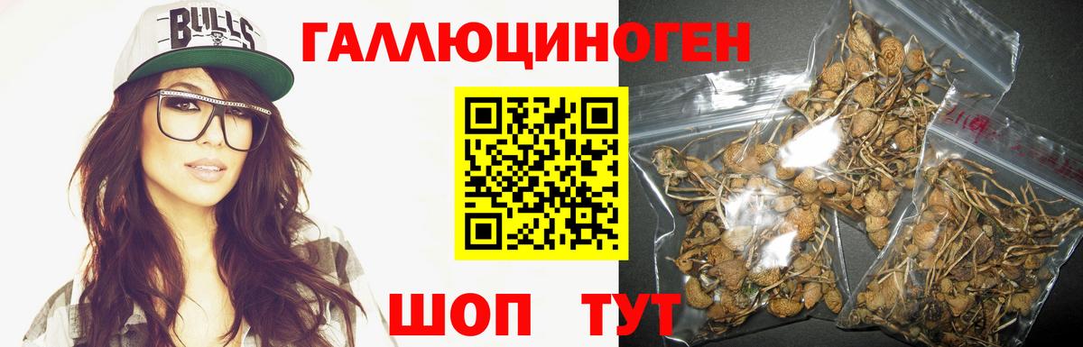 Псилоцибиновые грибы MAGIC MUSHROOMS  Вход с VPN  Галлюциногенные грибы Psilocybine cubensis  Бахчисарай 